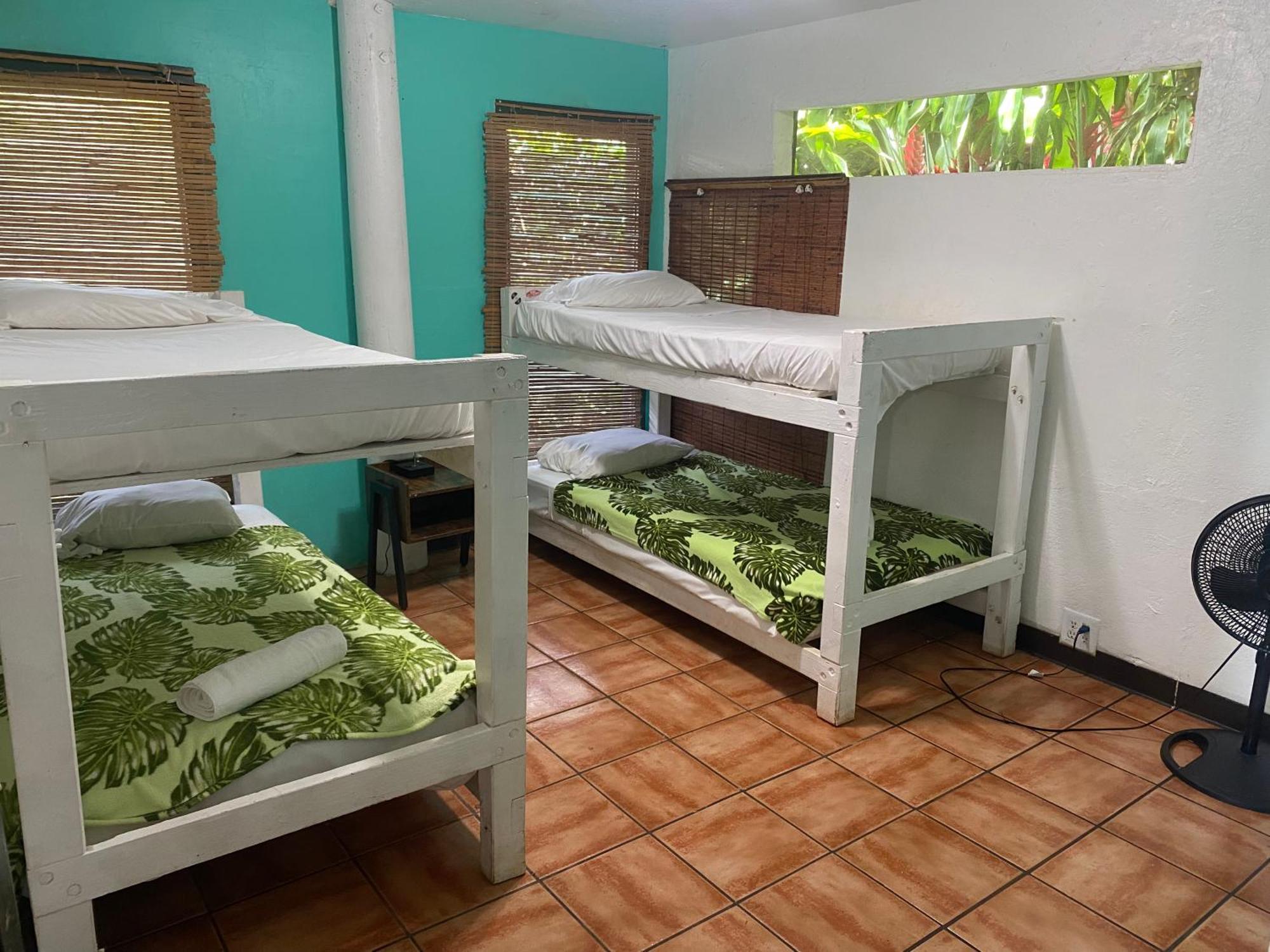 Backpackers Vacation Inn And Plantation Village Pupukea المظهر الخارجي الصورة